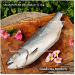 Salmon BONE-IN Atlantic Chile frozen LARGE SIZE whole fish head-on +/- 5 kg/pc length 27" 75cm (price/kg)